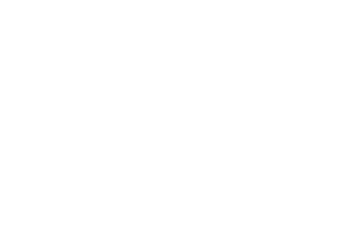 Branding Logo